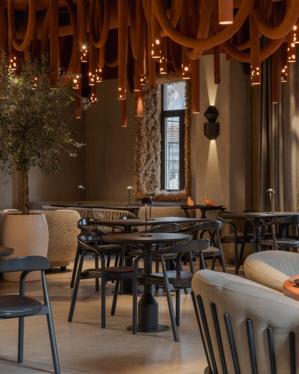 Wogo Dining Chair - Image 3