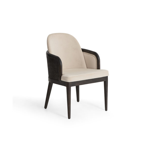 Lavine Dining Chair